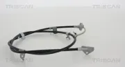 Seilzug, Feststellbremse hinten links TRISCAN 8140 41131