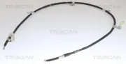 Seilzug, Feststellbremse hinten rechts TRISCAN 8140 4310129