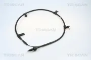 Seilzug, Feststellbremse TRISCAN 8140 43119