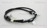 Seilzug, Feststellbremse TRISCAN 8140 43149