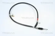 Seilzug, Feststellbremse hinten links TRISCAN 8140 50150