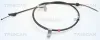 Seilzug, Feststellbremse hinten links TRISCAN 8140 69120