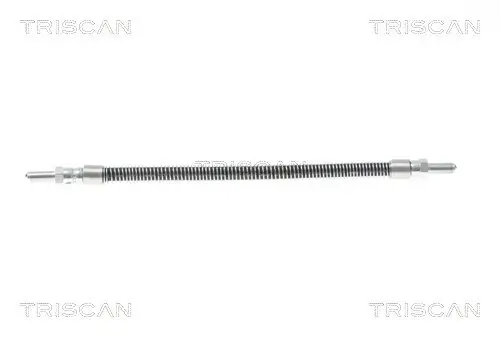 Bremsschlauch TRISCAN 8150 10005