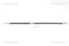 Bremsschlauch Vorderachse TRISCAN 8150 10111