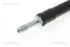 Bremsschlauch TRISCAN 8150 10119 Bild Bremsschlauch TRISCAN 8150 10119
