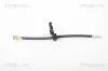 Bremsschlauch Hinterachse rechts TRISCAN 8150 10215