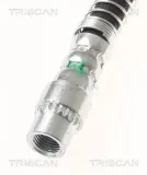 Bremsschlauch TRISCAN 8150 10228