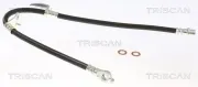 Bremsschlauch TRISCAN 8150 13339