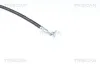 Bremsschlauch Vorderachse rechts TRISCAN 8150 14182 Bild Bremsschlauch Vorderachse rechts TRISCAN 8150 14182
