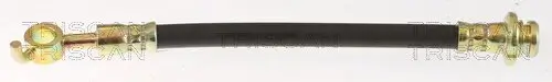 Bremsschlauch TRISCAN 8150 14299