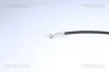 Bremsschlauch Vorderachse rechts TRISCAN 8150 14384 Bild Bremsschlauch Vorderachse rechts TRISCAN 8150 14384