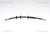 Bremsschlauch Vorderachse TRISCAN 8150 15117