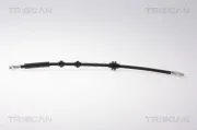 Bremsschlauch TRISCAN 8150 15139