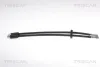 Bremsschlauch Hinterachse TRISCAN 8150 15227