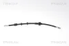 Bremsschlauch Hinterachse TRISCAN 8150 15246