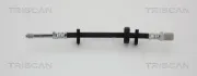 Bremsschlauch TRISCAN 8150 15282