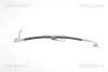 Bremsschlauch TRISCAN 8150 16126
