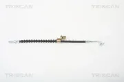 Bremsschlauch TRISCAN 8150 16132