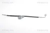 Bremsschlauch TRISCAN 8150 16134