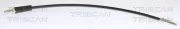 Bremsschlauch Vorderachse TRISCAN 8150 16161