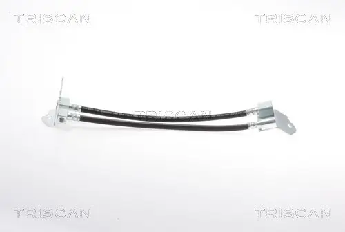 Bremsschlauch TRISCAN 8150 16247