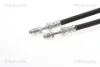 Bremsschlauch TRISCAN 8150 16287 Bild Bremsschlauch TRISCAN 8150 16287