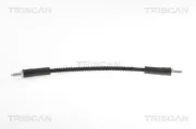 Bremsschlauch TRISCAN 8150 17106