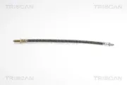 Bremsschlauch TRISCAN 8150 17207