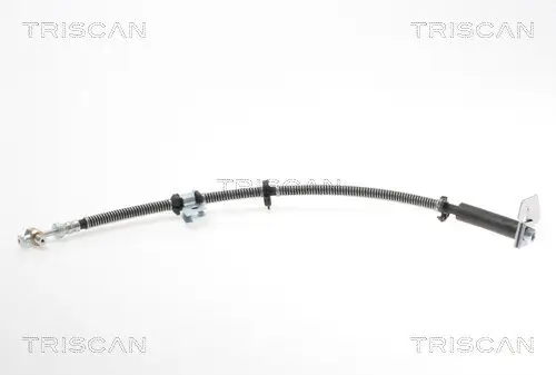 Bremsschlauch Hinterachse rechts außen TRISCAN 8150 17215