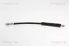 Bremsschlauch Vorderachse TRISCAN 8150 17312
