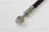 Bremsschlauch Hinterachse rechts TRISCAN 8150 18225 Bild Bremsschlauch Hinterachse rechts TRISCAN 8150 18225