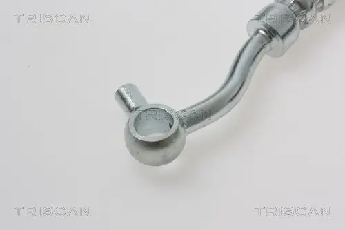 Bremsschlauch TRISCAN 8150 18229 Bild Bremsschlauch TRISCAN 8150 18229