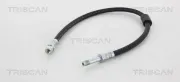 Bremsschlauch Vorderachse TRISCAN 8150 23119