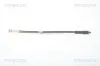Bremsschlauch TRISCAN 8150 24127