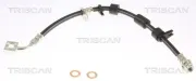 Bremsschlauch TRISCAN 8150 24156