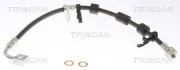 Bremsschlauch TRISCAN 8150 24158