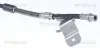 Bremsschlauch Hinterachse rechts TRISCAN 8150 28314 Bild Bremsschlauch Hinterachse rechts TRISCAN 8150 28314