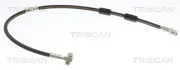 Bremsschlauch Vorderachse TRISCAN 8150 291002
