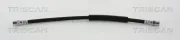 Bremsschlauch TRISCAN 8150 29106