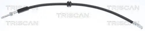 Bremsschlauch TRISCAN 8150 29138