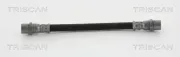 Bremsschlauch TRISCAN 8150 29225
