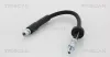 Bremsschlauch Hinterachse TRISCAN 8150 29238