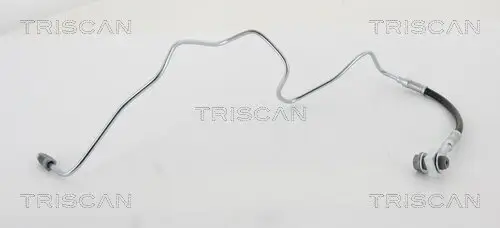 Bremsschlauch TRISCAN 8150 29289