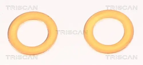 Bremsschlauch TRISCAN 8150 42287 Bild Bremsschlauch TRISCAN 8150 42287