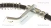 Bremsschlauch Vorderachse rechts TRISCAN 8150 431011 Bild Bremsschlauch Vorderachse rechts TRISCAN 8150 431011