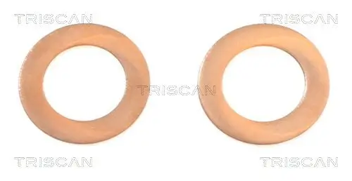 Bremsschlauch Vorderachse rechts TRISCAN 8150 431011 Bild Bremsschlauch Vorderachse rechts TRISCAN 8150 431011