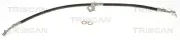 Bremsschlauch TRISCAN 8150 431025