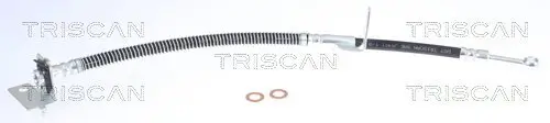 Bremsschlauch TRISCAN 8150 43119