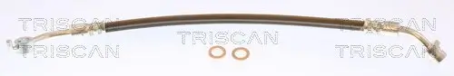 Bremsschlauch Hinterachse rechts TRISCAN 8150 432010 Bild Bremsschlauch Hinterachse rechts TRISCAN 8150 432010