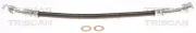 Bremsschlauch Hinterachse links TRISCAN 8150 432013